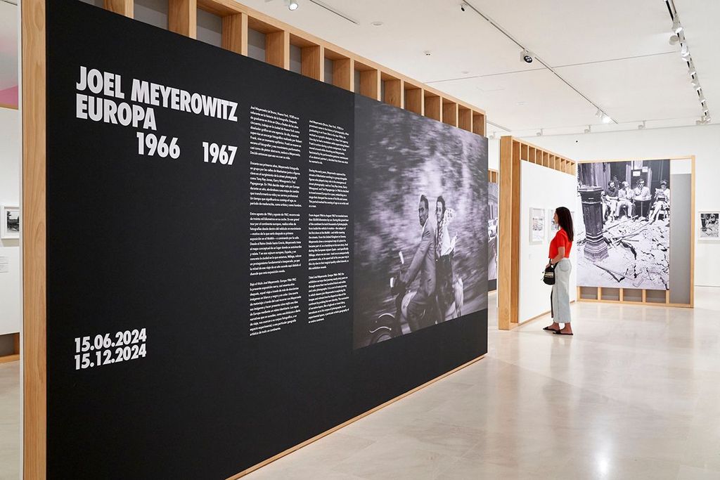 large_MPM_Exposicion_Joel_Meye