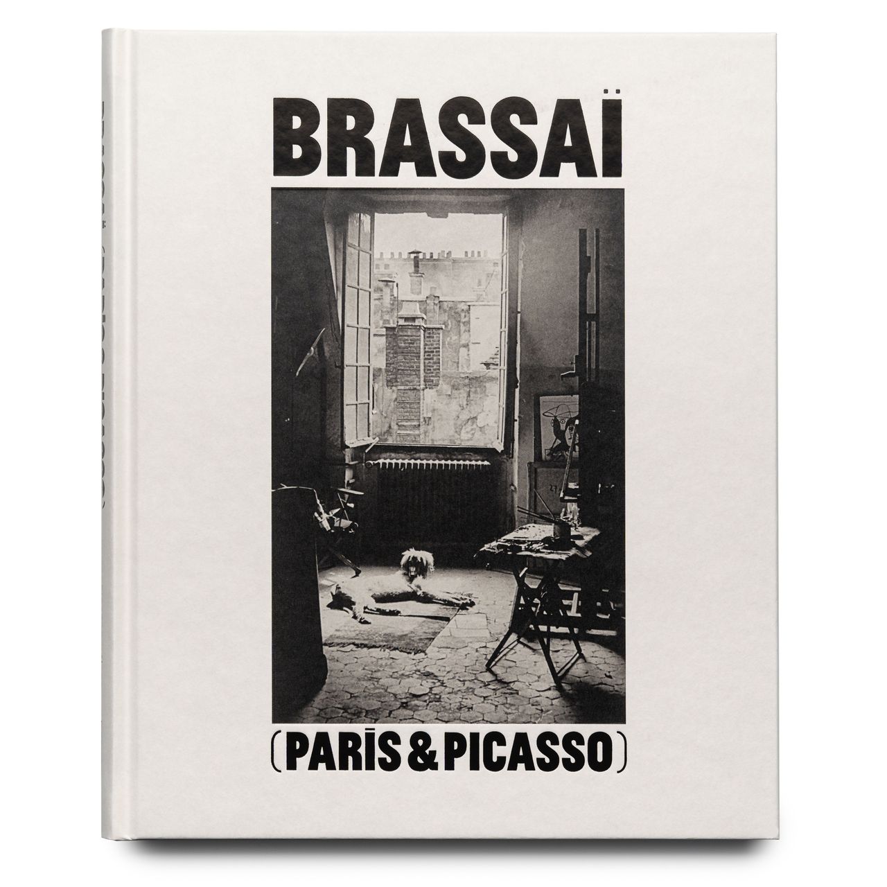 xlarge_2021_CAT_BRASSAI_PICASS